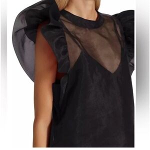 Joie Black Sheer Ruffle Top